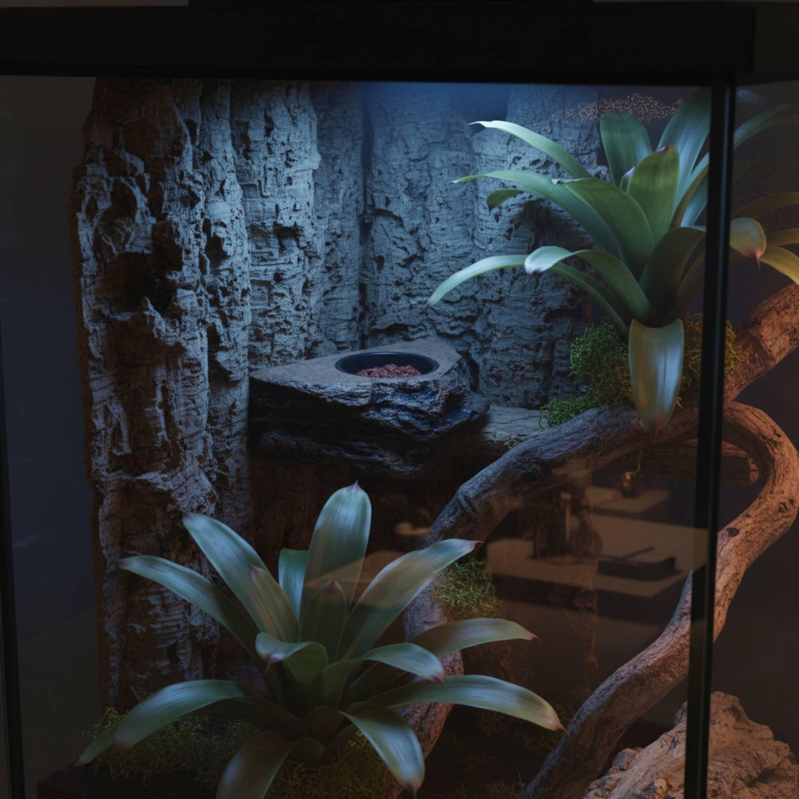 Rak Makanan dan Air untuk Toke - Water Dish Reptile ulasan dan harga